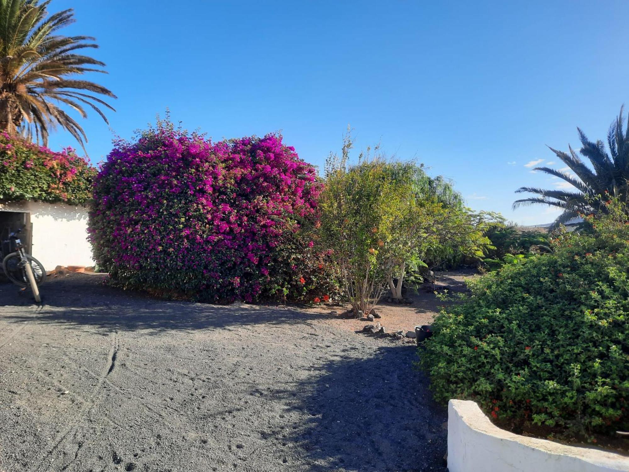 Casa De Gato Rustic Finca Tahiche Exterior photo